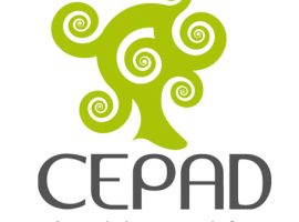 Logo_CEPAD