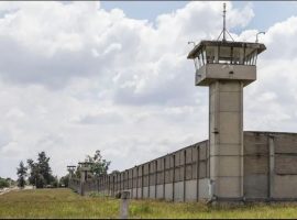 Puente Grande: Cepad exige investigar a fondo abusos a presos de Jalisco