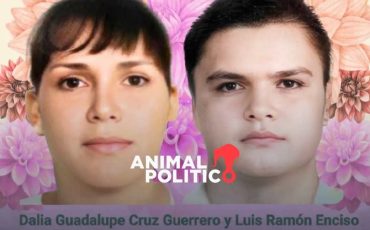 Captura-aNIMAL-Politico