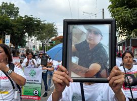 WhatsApp Image 2025-12-04 at 3.32.37 PM